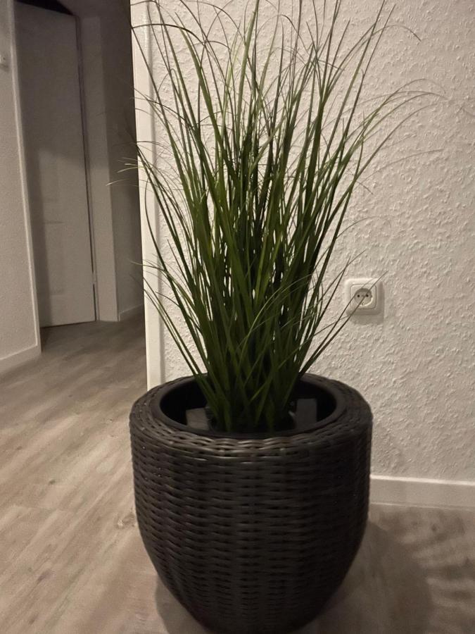 Haus Mariechen Apartman Hooksiel Kültér fotó